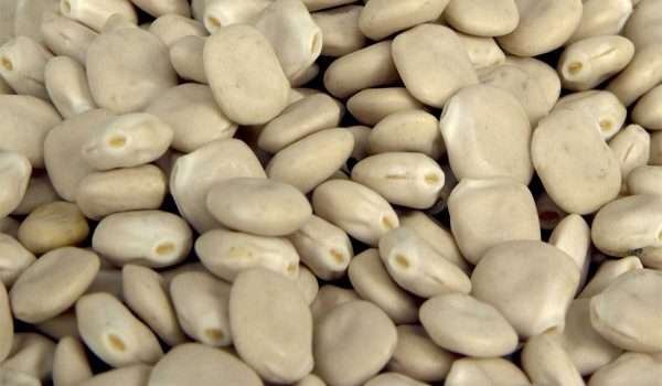  اكتشفوا فوائد الترمس لمرضى السكري وكيف يمكن أن يساعد في تحسين بعض المؤشرات الصحية